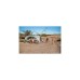 Coleman Pavillon Event Shelter Pro L, 3,65 x 3,65m(hellgrau/grün)