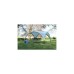 Coleman Pavillon Event Shelter Pro L, 3,65 x 3,65m(hellgrau/grün)