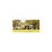 Coleman Pavillon Event Shelter Pro XL, 4,5 x 4,5m(hellgrau/grün)