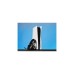 Corsair HS80 RGB Wireless Headset, Gaming-Headset(schwarz, USB)