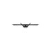 Corsair Xeneon Flex 45WQHD240, OLED-Monitor(114 cm (45 Zoll), schwarz, WQHD, USB-C, HDMI 2.1, 240Hz Panel, Outlet)