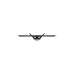 Corsair Xeneon Flex 45WQHD240, OLED-Monitor(114 cm (45 Zoll), schwarz, WQHD, USB-C, HDMI 2.1, 240Hz Panel, Outlet)