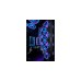 Corsair iCUE QL120 RGB 3er 120x120x25, Gehäuselüfter(schwarz, 3er Pack, inkl Lighting Node CORE)