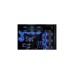 Corsair iCUE QL120 RGB 3er 120x120x25, Gehäuselüfter(schwarz, 3er Pack, inkl Lighting Node CORE)