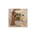 DEWALT Paneelsäge DWS 780, Kapp-und Gehrungssäge(gelb, 1.675 Watt)