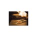 DICK VIVUM BBQ Messer ASADOR, 22cm(holz)