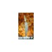 DICK VIVUM BBQ Messer ASADOR, 22cm(holz)