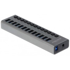 DeLOCK Externer SuperSpeed USB Hub mit 13 Ports + Schalter, USB-Hub