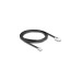 RJ-11 Stecker(schwarz, 2 Meter)