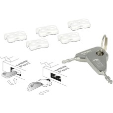 DeLOCK USB Port Blocker Set für USB-A Buchse, Einsteckschloss(weiß/silber, 5x USB Port Blocker, 2x Schlüssel)