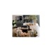 DeLonghi Dinamica Plus ECAM 370.95.T, Vollautomat(titan)