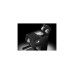 DeLonghi ECP 31.21, Espressomaschine(schwarz, Outlet)