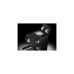 DeLonghi ECP 31.21, Espressomaschine(schwarz, Outlet)