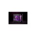 EKWB EK-CryoFuel Indigo Violet (Premix 1000mL), Kühlmittel(violett, 1 Liter)