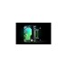 EKWB EK-Quantum Kinetic FLT 80 D5/DDC Body D-RGB, Ausgleichsbehälter(transparent)