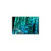 EKWB EK-Quantum Reflection² PC-O11D EVO D5 PWM D-RGB - Acryl, Pumpe(transparent, Verteilerplatte inkl. Pumpe)