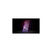 EKWB EK-Quantum Reflection² PC-O11D XL D5 PWM D-RGB - Acryl, Pumpe(transparent, Verteilerplatte inkl. Pumpe)