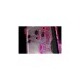 EKWB EK-Quantum Reflection² PC-O11D XL D5 PWM D-RGB - Acryl, Pumpe(transparent, Verteilerplatte inkl. Pumpe)