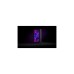 EKWB EK-Quantum Reflection² PC-O11D XL D5 PWM D-RGB - Acryl, Pumpe(transparent, Verteilerplatte inkl. Pumpe)