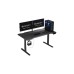 ENDORFY Atlas L Electric, Gaming-Tisch(schwarz)