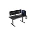 ENDORFY Atlas L, Gaming-Tisch(schwarz)