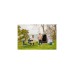 Easy Camp Camping-Tisch Menton M 540029(braun)