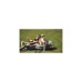 Easy Camp Movie Seat Single 300047, Camping-Sessel(grau)