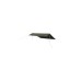 Easy Camp Tarp Void Rustic Green, 3 x 3m, Sonnensegel(olivgrün)