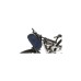 Easy Camp Tunnelzelt Vega 300 Compact(dunkelblau/grau)