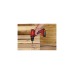 Einhell Akku-Bohrschrauber TC-CD 18-2 Li, 18Volt(rot/schwarz, Li-Ionen Akku 1,5Ah)