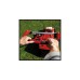 Einhell Akku-Rasenmäher GE-CM 36/37 Li-Solo, 36Volt (2x18V)(rot/schwarz, ohne Akku und Ladegerät)