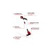 Einhell Akku-Rasentrimmer GE-CT 18Li Kit, 18Volt(rot/schwarz, Li-Ionen Akku 2,0Ah)