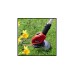 Einhell Akku-Rasentrimmer GE-CT 18 Li - Solo, 18Volt(rot/schwarz, ohne Akku und Ladegerät)