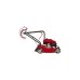 Einhell Benzin-Rasenmäher GC-PM 40/1(rot/schwarz)