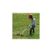 Einhell Benzin-Rasentrimmer GC-PT 2538/1 I AS(rot/schwarz)