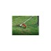 Einhell Benzin-Sense GC-BC 25/1 I AS, Rasentrimmer(rot/schwarz)