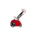 Einhell Elektro-Vertikutierer GC-ES 1231/1(rot/schwarz, 1.200 Watt)