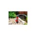 Einhell Schmutzwasserpumpe GC-DP 5010 G, Tauch- / Druckpumpe(rot/edelstahl, 500 Watt)