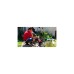 Einhell Schmutzwasserpumpe GE-DP 7935 N ECO, Tauch- / Druckpumpe(rot/schwarz, 790 Watt)