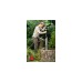 Einhell Tiefbrunnenpumpe GC-DW 1300 N, Tauch- / Druckpumpe(edelstahl/schwarz, 1.300 Watt)
