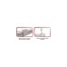 EliteScreens Saker Tab Tension, Motorleinwand(weiß, 100