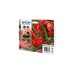 Epson Tinte Multipack 503XL (C13T09R64010)