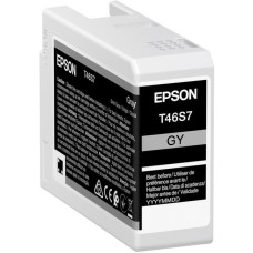 Epson Tinte grau T46S7 (C13T46S700)(Ultrachrome PRO 10)