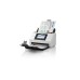 Epson WorkForce DS-790WN, Einzugsscanner(grau, USB, LAN, WLAN)