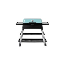 Everdure FURNACE Gasgrill, Mint(mint, 8 kW )