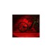 FISCHER Fahrrad Akku Leuchten-Set 30 Lux, LED-Leuchte