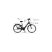 FISCHER Fahrrad CITA 4.1i, Pedelec(schwarz (matt), 44 cm Rahmen, 28