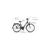 FISCHER Fahrrad CITA 5.0i, Pedelec(grau, 28
