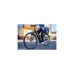 FISCHER Fahrrad CITA 5.0i, Pedelec(grau, 28