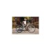 FISCHER Fahrrad CITA ER 1804, Pedelec(weiß, 48 cm Rahmen, 28
